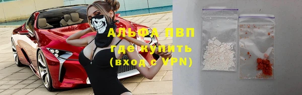 молекула духа Покров