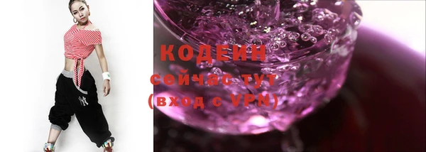 молекула духа Покров