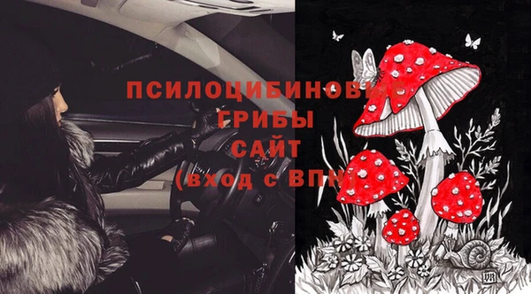 молекула духа Покров
