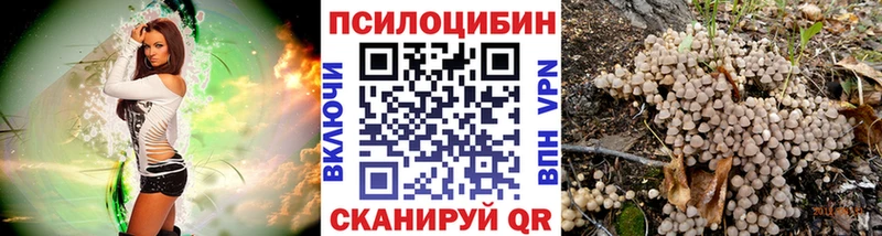Галлюциногенные грибы Psilocybine cubensis  купить наркоту  Агидель 